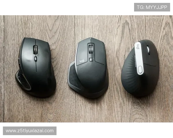 尊龙app登录线路设置步骤详解帮助用户轻松切换不同线路提升游戏稳定性 尊龙app登录线路设置步骤详解帮助用户轻松切换不同线路提升游戏稳定性