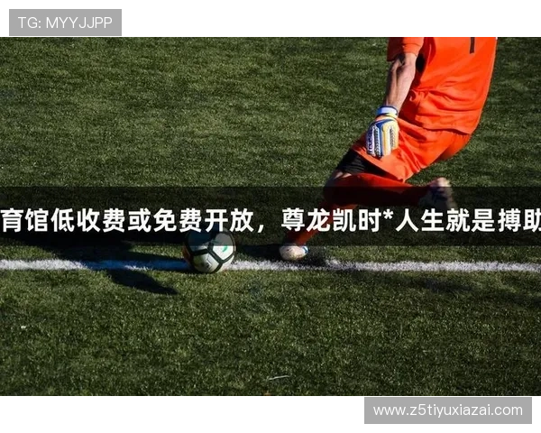 深入了解尊龙凯时足球官网的独特功能与服务